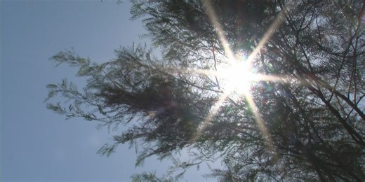 The best way to stay sun-safe this summer