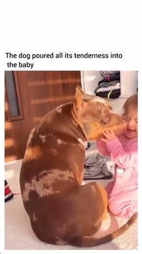 The dog poured all its tenderness into the baby 🥺😍