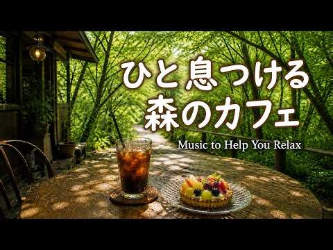 【カフェBGM】ひと息つける森のカフェ｜緑に囲まれて過ごす夏の午後｜作業用・読書・リラックス
