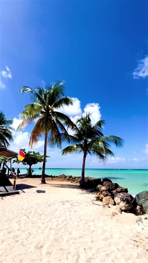 Exploring Tobago: Villas, Beaches, and Culture