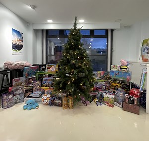 How To Grease a Bearing – Molyslip