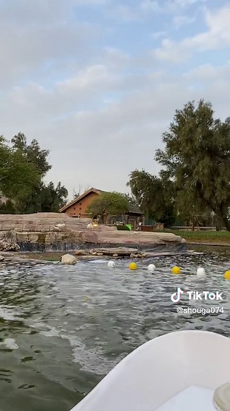 Exploring Wildlife in The Little Jungle of Kuwait