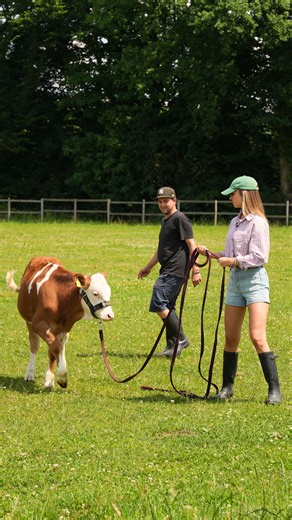 16K views · 144 reactions | Wer führt hier eigentlich wen?  Hausi hat Nadia und Sandro voll im Griff! | Schweizer Bauern | Facebook