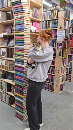 Please help us welcome, Skye, our newest Loving Care Cat Rescue foster kitty. This adorable little lady can't wait to meet you. #Skye #FosterKitty #CatTok #PetAdoption #CatBookstore