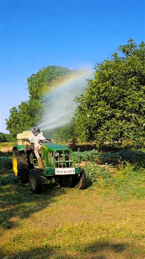 #f2d Mango Neem oil spraying ||• #farming #shortsfeed #trending #farmlife #farmer