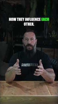 Use Other Coaches' Programs - Program Design Series