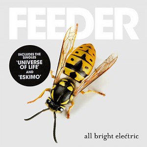 Feeder - All Bright Electric