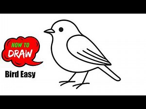 How to Draw a Bird Easy (Step-by-Step for Beginners) | Cute Bird Drawing Tutorial