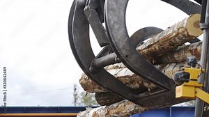 Loading equipment for logging. Log loader for timber, logs. The log loader moves a stack of pine logs. Lumber industry.