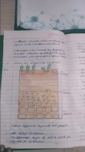 class 7th science chapter 8 soil question answer on start up science science