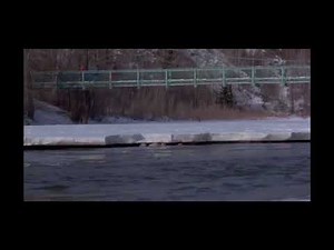 My favorite training scene from cool runnings