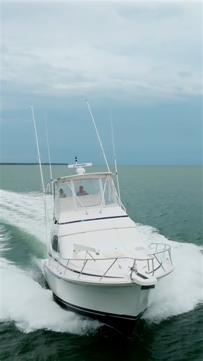 1.8K views · 42 reactions | MR. BOND is a Bertram 390 Convertible...