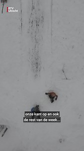 Het is nog niet klaar met de sneeuw en gladheid deze week ☃️ Einde middag komt er opnieuw een sneeuwbui en ook de rest van de week valt er nog heel wat ❄️ #sneeuw #utrechtseheuvelrug #griftpark #utrecht | RTV Utrecht