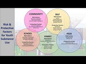 Video 2: Risk and Protective Factors