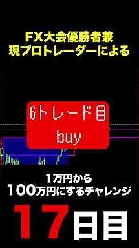 FXプロトレーダー 1万円から100万円を目指す 17日目 #ホッシー流うねり取り #波乗り道場 #資金管理