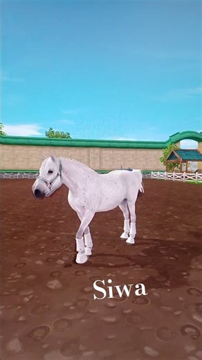 |•𝐫𝐫𝐩•| 𝐧𝐨𝐰𝐲 𝐤𝐨𝐧𝐢𝐤𝐤𝐤 📷𝐣𝐚 🐴𝐚𝐢𝐫 𝐟𝐨𝐫𝐜𝐞📍𝐞𝐪𝐮𝐞𝐬𝐭𝐫𝐢𝐚𝐧 𝐡𝐨𝐫𝐬𝐞 𝐜𝐞𝐧𝐭𝐞𝐫 ❓𝐦𝐚𝐜𝐢𝐞 𝐬𝐢𝐰𝐤𝐚?