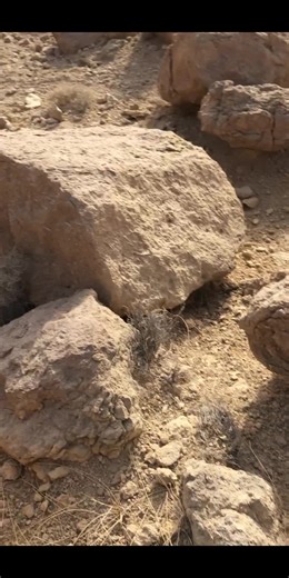 خليل شاهين on TikTok