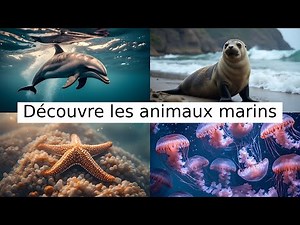 Animaux marins | Vidéo éducative pour enfants