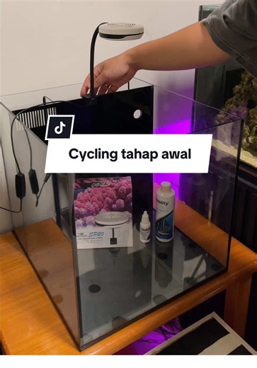 Cycling Tips for Saltwater Aquariums: Part 1