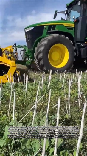 Heavy-Duty Disc Harrow in Action – Preparing Soil for Planting #heavymachinery #farming #agriculture