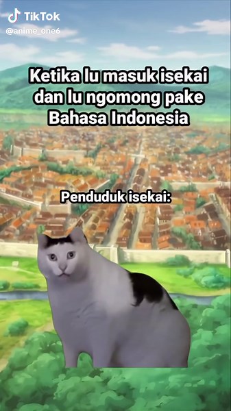 Funny Isekai Anime Moments with Cute Cats