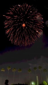 18K views · 408 reactions | Huge Firework Shell #feuerwerk #feuerwerkskörper #feuerwerkstraume #fireworks #fireworkshell #10 | Firework Show | Facebook