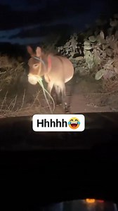 ياخي معرفتنيش لا تره زيد ثبت 😂 #canada #community #job #books #PublicSafety El fondou | El fondou