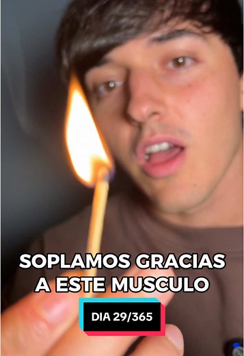 Descubre el músculo bucinador y su función