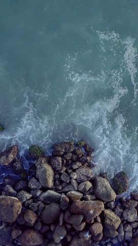 Free Background Videos: 4K & HD | No Watermark | Download Now