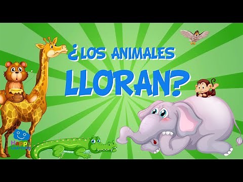 ¿Los animales lloran? | Vídeos educativos para niños.