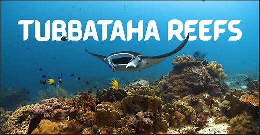 Tubbataha Reefs Natural Park - Discover The Philippines