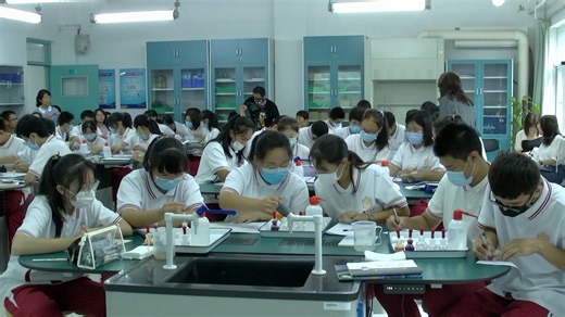 高中化学课例一《从氧化还原反应的视角认识物质的性质——以H2O2为例》教学视频，高中九科联合教研活动