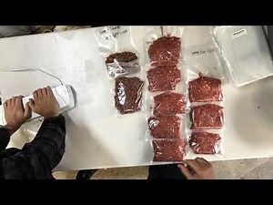 Black Bear processing from Filled Tag to Freezer. Time Lapse of Spring Bear harvest.