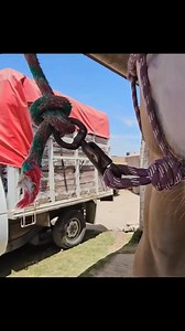 190K views · 4.2K reactions | Potranca gunner algo único y especial Tel: 332 761 6021 $100 mil, parte 3 | Hunter Vlogs | Facebook