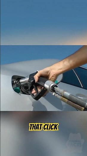 The Physics Inside a Gas Pump Explained