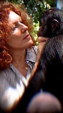 La "Maman des bonobos" se bat pour leur liberté !