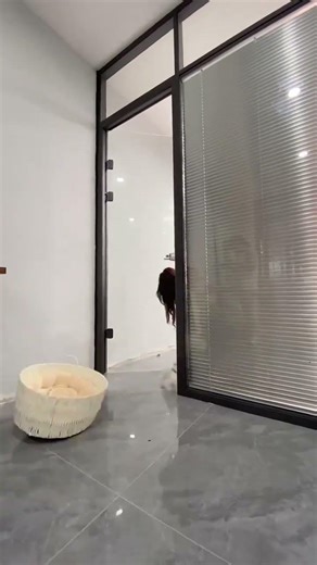 Run away from home with your luggage!! #TeacupDog #Pomeranian #CutePet