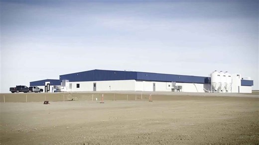 Boar stud facility in Cascade County aims to strengthen pork industry
