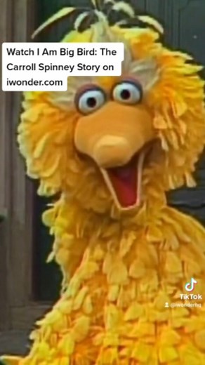 Caroll Spinney has been Sesame Street’s Big Bird and Oscar the Grouch since 1969… combining compelling interviews and fascinating material from Caroll’s personal archives, ‘I Am Big Bird’ unveils a dynamic portrait of an unknown man whose iconic Sesame Street characters have influenced generations of viewers. #sesamestreet #sunnydays #bigbird #oscarthegrouch #bts #history #childrenstv #television #documentary #iwonder | iwonder | Facebook