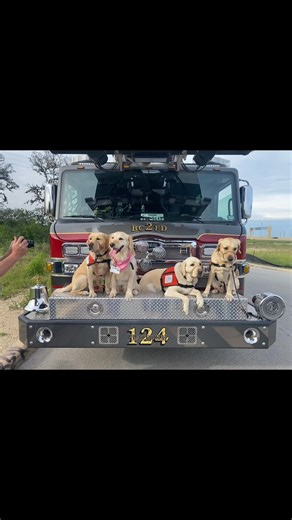 🌟Honoring Our First Responders & Healthcare Heroes! 🌟 On National First Responders Day, we proudly recognize the amazing members of our team who serve on the frontlines, not only as first responders but also as dedicated healthcare professionals shaping a stronger, more compassionate community. It’s people like you who truly understand what it means to answer the call, and today, we celebrate your courage, dedication, and heart. Thank you for everything you do to make a difference every single