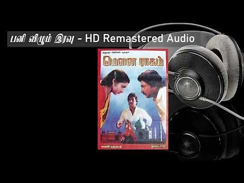 Pani Vizhum Iravu HD Remastered | பனி விழும் இரவு | Mouna Raagam | மௌன ராகம் | Ilayaraja hits