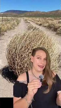 The Invasive Tumbleweed # #history #americanhistory #archaeology #stem #tumbleweed #southwest