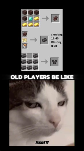 Minecraft secret netherite tricks 🤫 | Minecraft memes