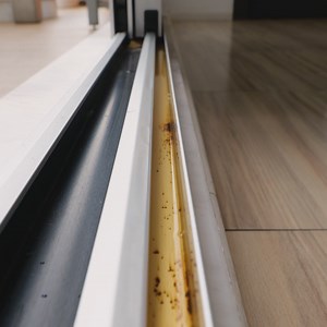 Unlock Pro-Level Deep Cleaning Secrets for Your Home | Green Bean