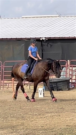 It’s been a while since I’ve posted about Bo! 🤪 Some clips from our last few rides. 🥰 #equestrian