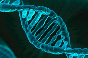 Genomic Imprinting Does not Stay Stable Over Time | Cell And Molecular Biology