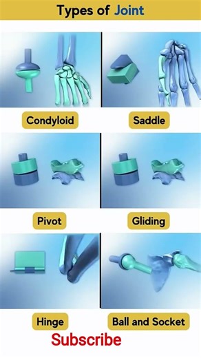 Types of Synovial Joints 🦴 | Anatomy in English