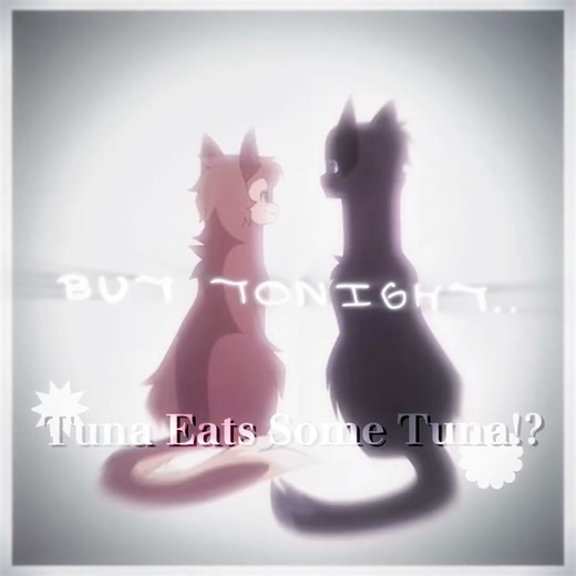 “ Tonight You Belong To Me “ Nightcloud, Leafpool and Crowfeather Edit