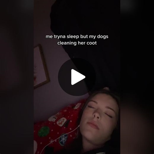 Hilarious Dog Cleaning Moment Caught on Camera