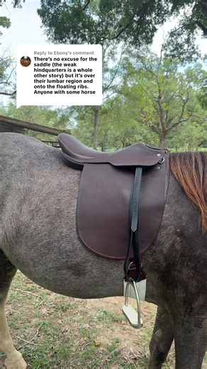 Understanding Cutback Saddles for Equestrian Comfort